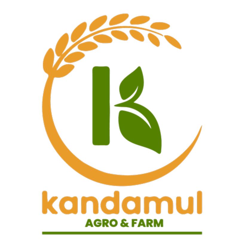 Kalo Gau Ko Pitho(500gm)