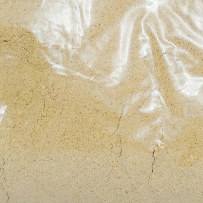 Ginger Powder(100gm)