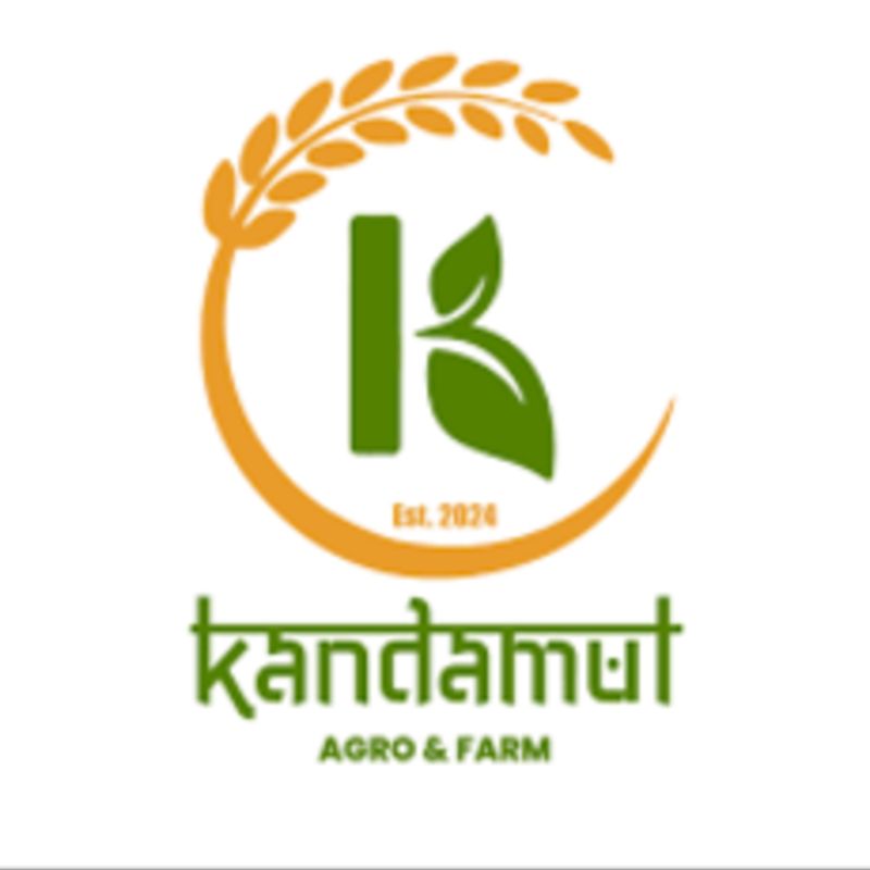 Moringa Powder Capsules(1ps)