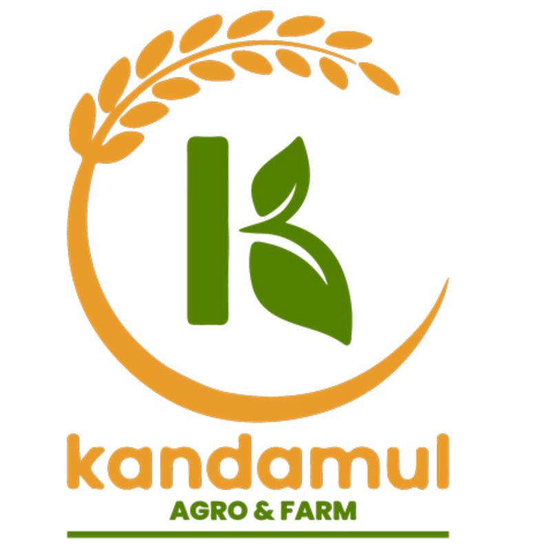 Jumla ko kalo simi piseko daal(1kg)