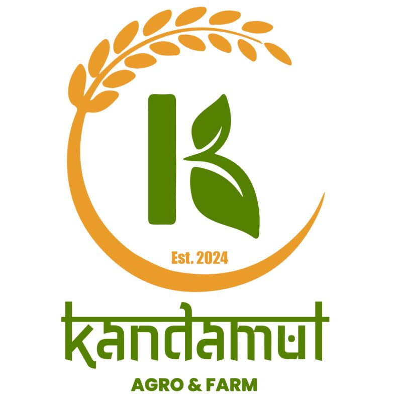 Himalayan Pink Salt (200gm)